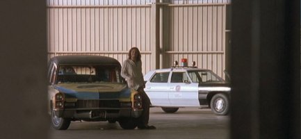 Grand Theft Parsons1.JPG